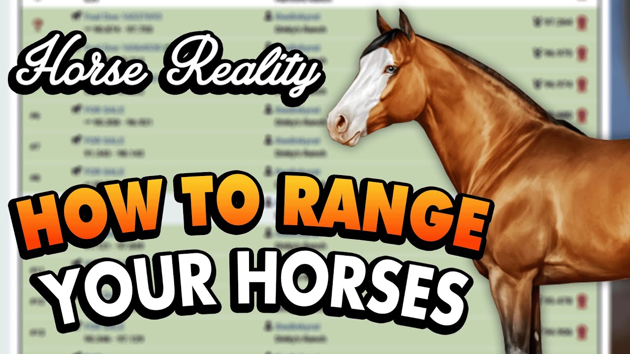 How to Range Your Horses + My Quarter Horse Project Update! [Horse Reality]