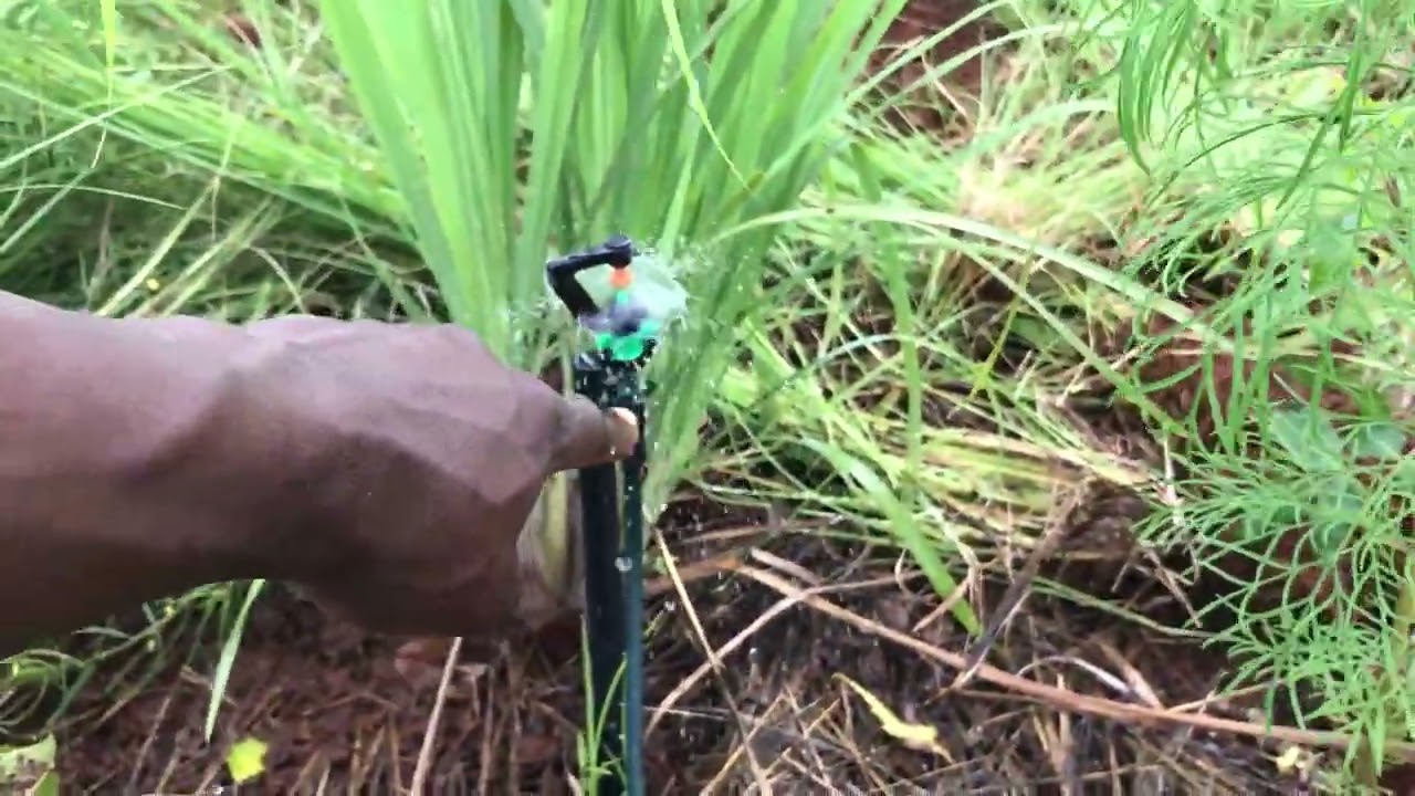 Micro jet Irrigation Part 2