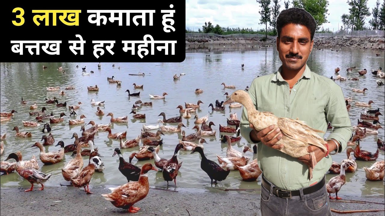 बत्तख पालन ने बदल दी इस युवा की किस्मत | Duck Farming | Indian Runner Duck | Khaki Campbell Ducks