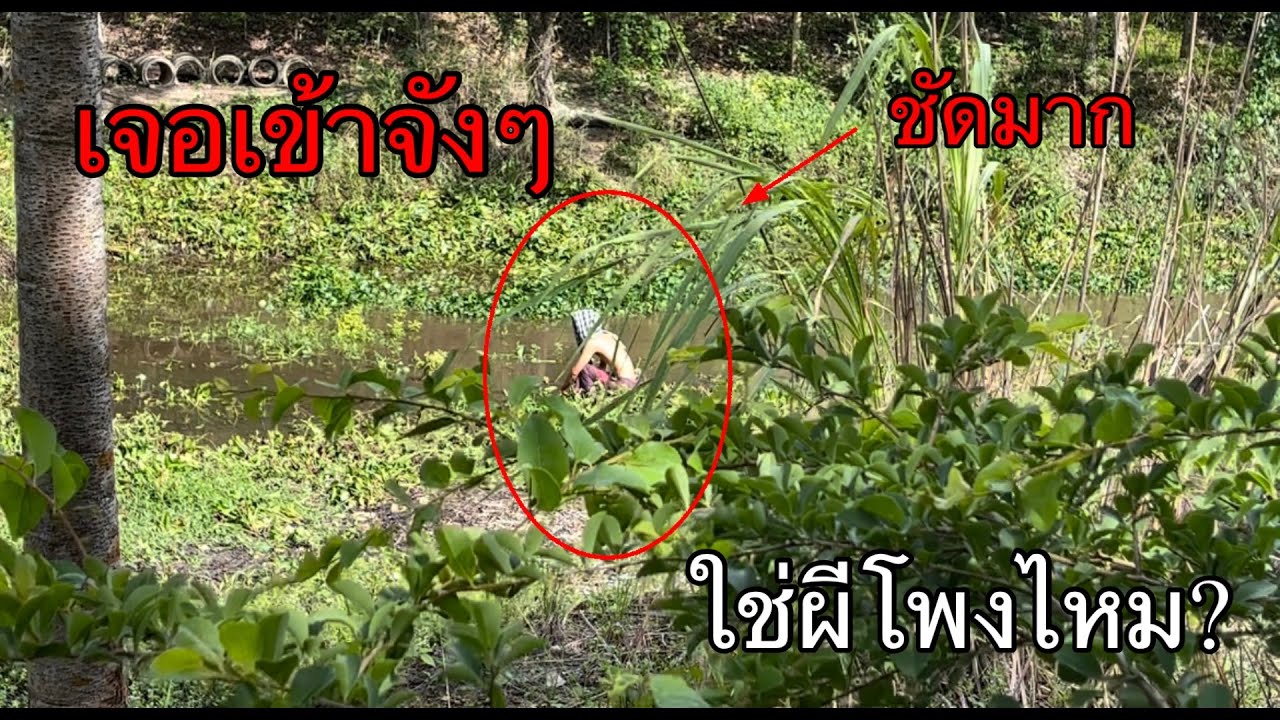 กลับมาซุ่มดูผีโพงเจอชัดมากไม่คิดว่าจะเจอผีโพงตอนกลางวันแทบช็อค!?