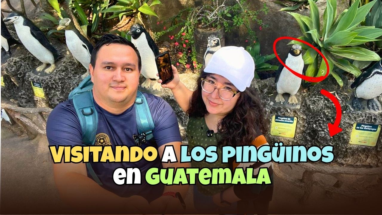 Un Día Completo en el Zoológico La Aurora: ¡Un Paraíso para los Amantes de los Animales!