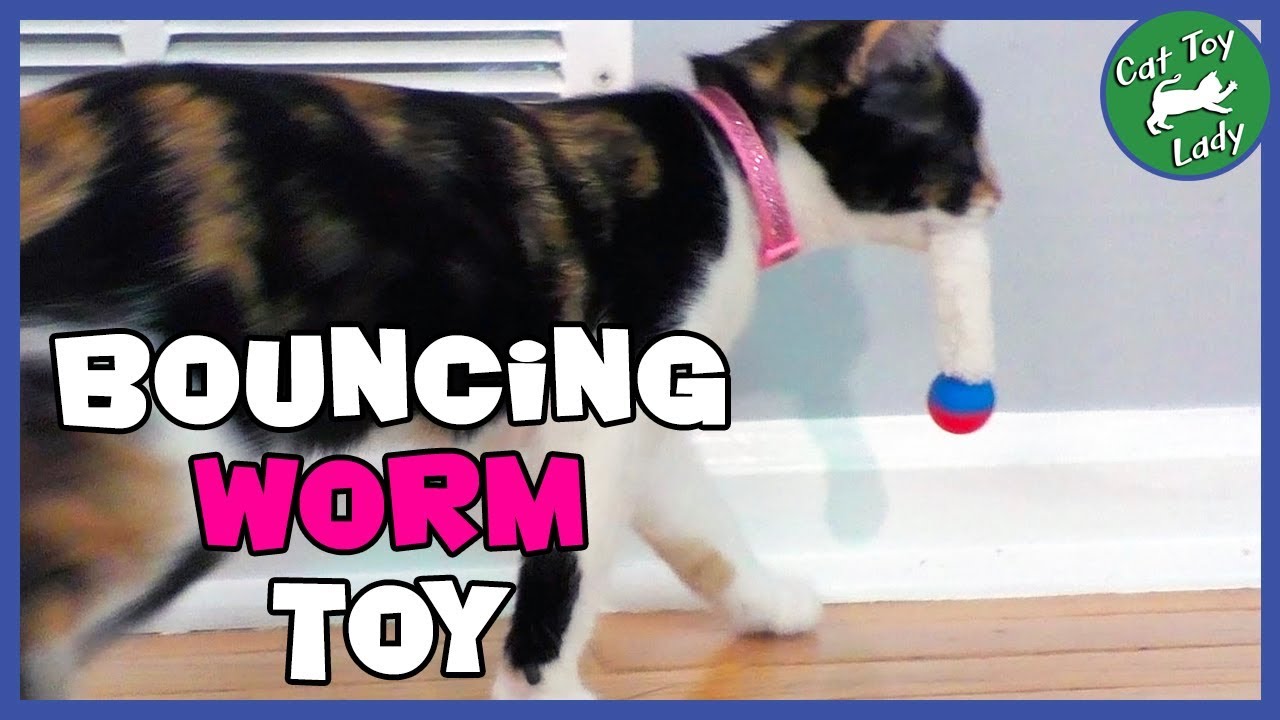 Bouncy Ball Cat Toy