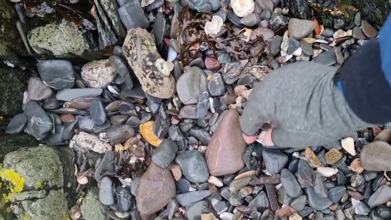 Sea Glass Ireland beachcombing for seaglass in Bangor Co Down on 29th January 2024