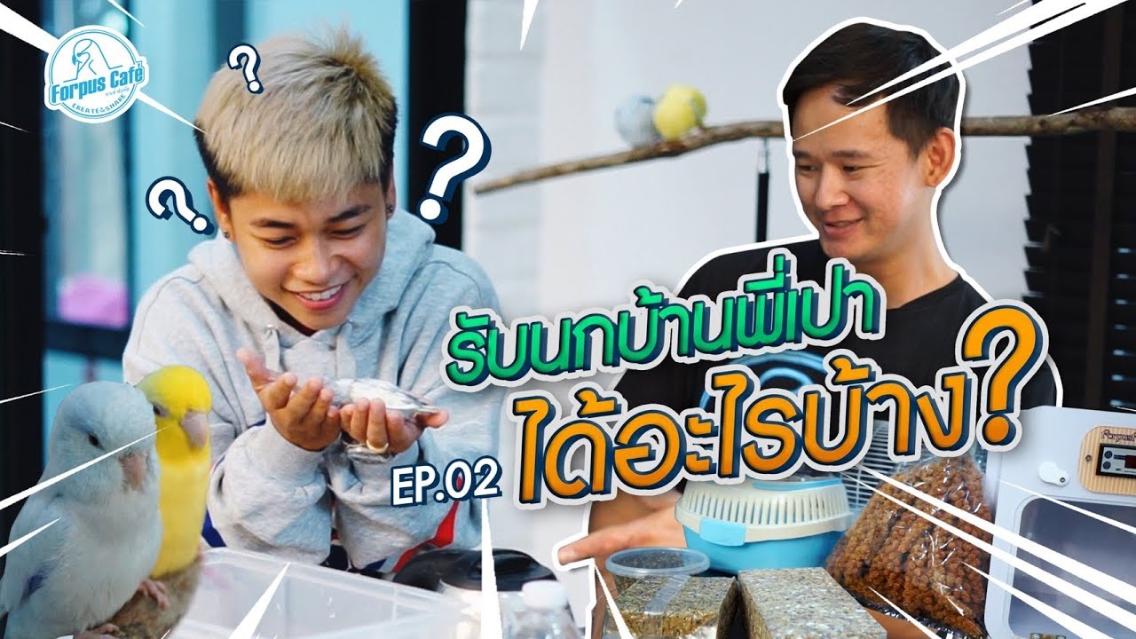 มารับลูกนกฟอพัสตัวแรก!!!...ถึงบ้านพี่เปา l Ep.02