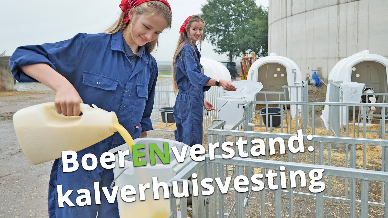 Kalverhuisvesting! - BoerENverstand