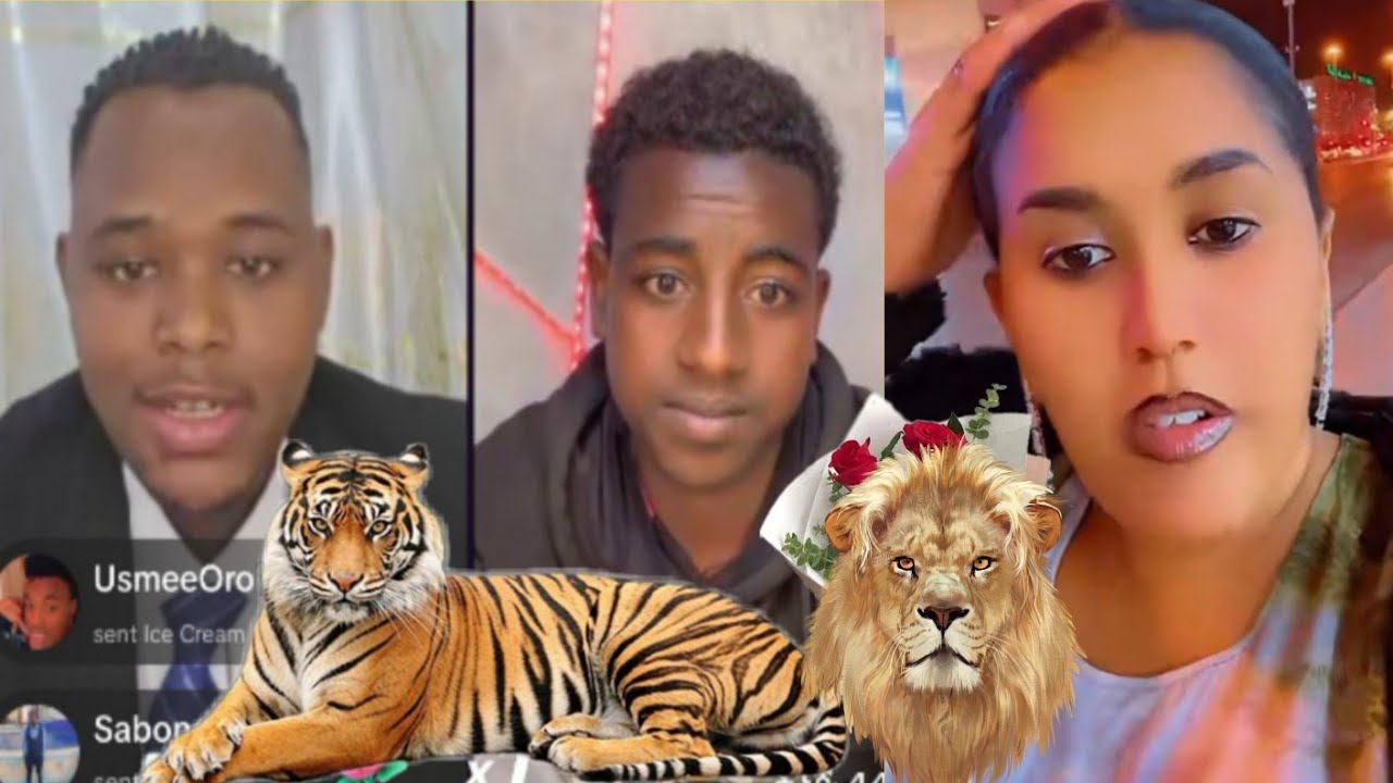 Sabbontun Seenaa Hojetee Dubai Keessati Congira Bagaa Rabbin Salphina Isin Olchee Oromoo
