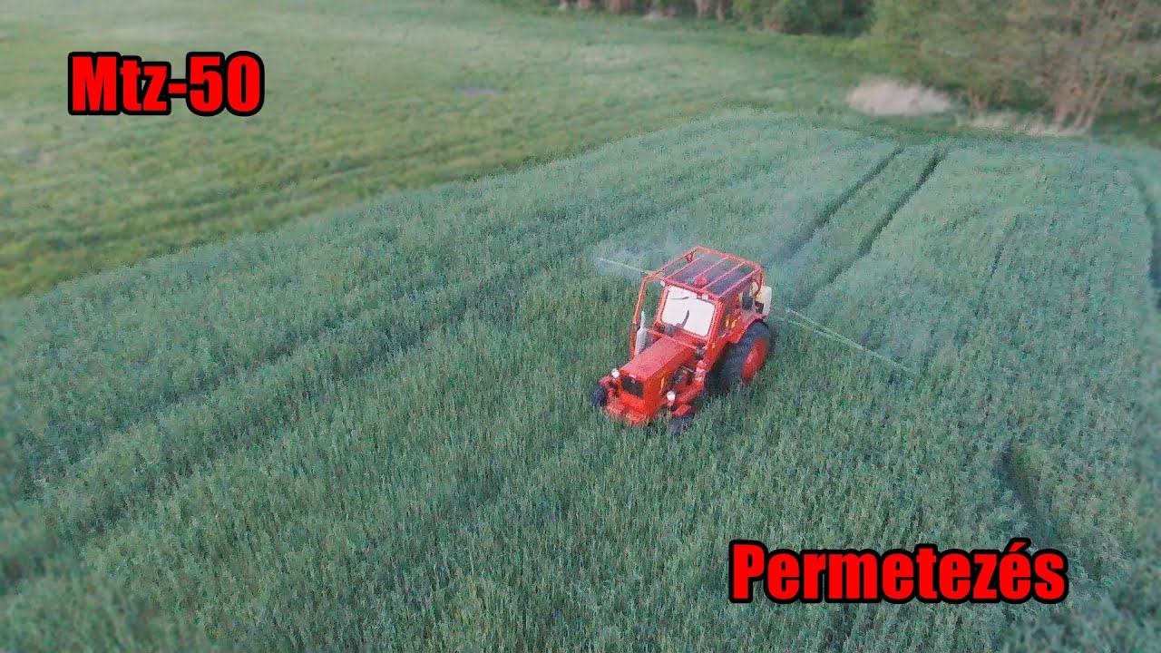 Permetezés | Mtz 50