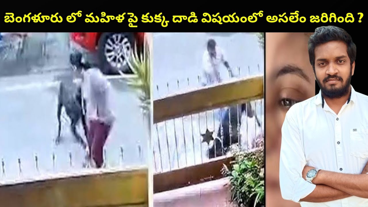 Banglore Dog Attack On Woman Incident Explained 