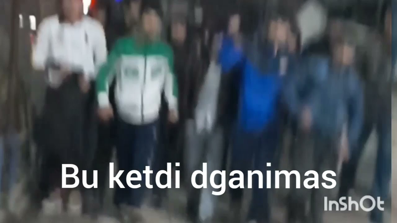 Denov bollari