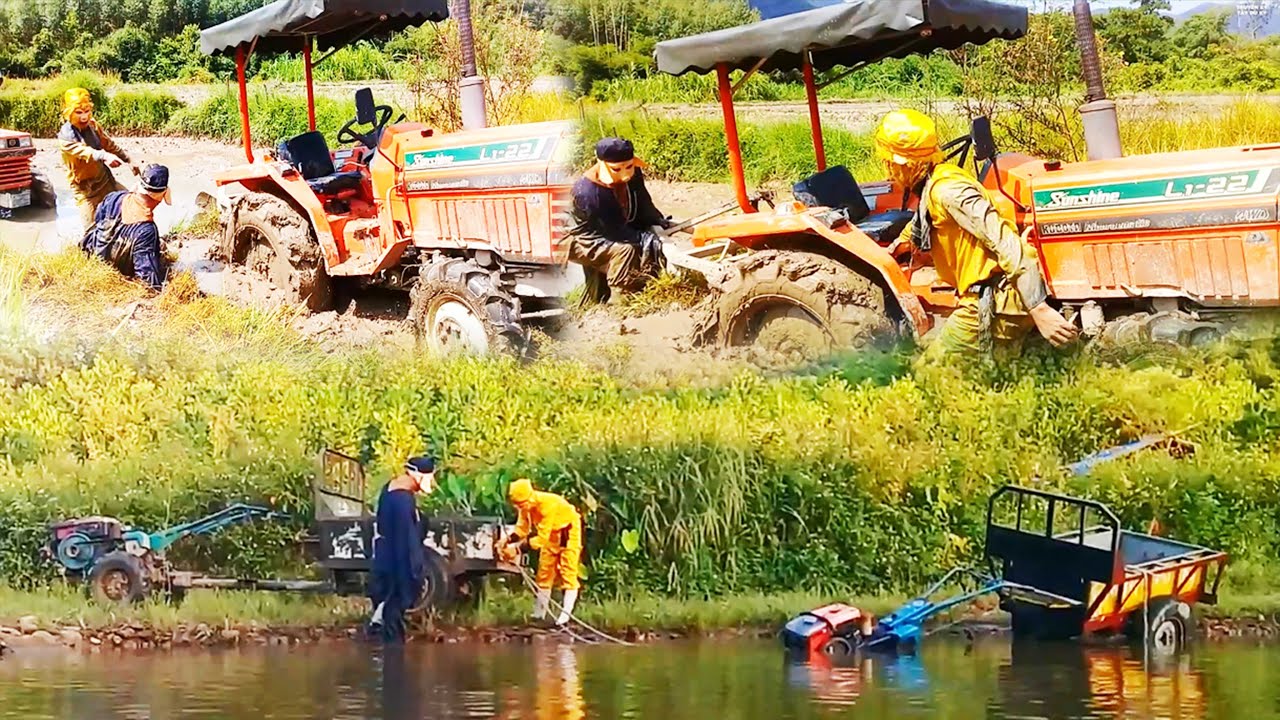 Bát Giới Đại Chiến Ngộ Không | Full Toàn Tập Video Triệu View Hài Hước Trong TRUYỀN KỲ TÂY DU KÝ