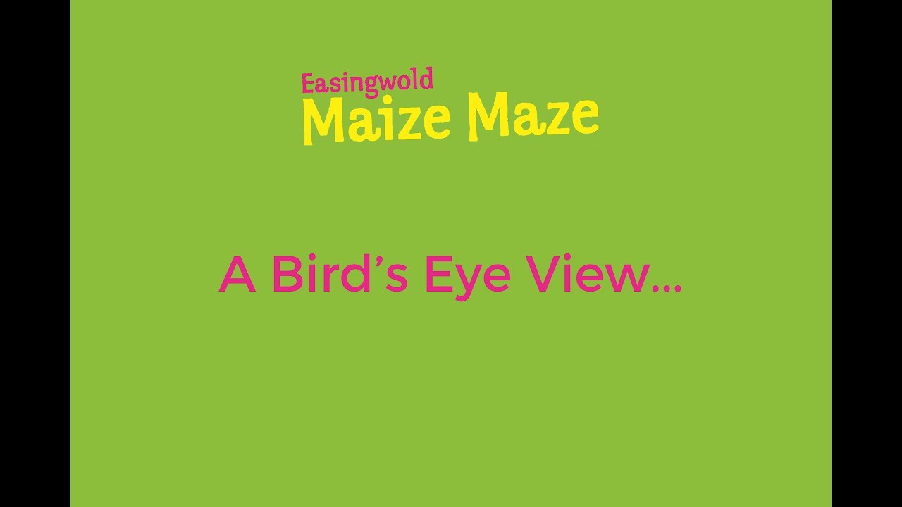 Easingwold Maize Maze Flyover Video - York Family Day Out