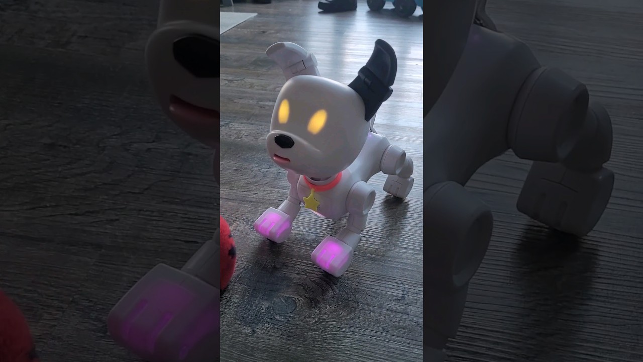 The Robot Dog for Kids who Can't Have a Real Pet