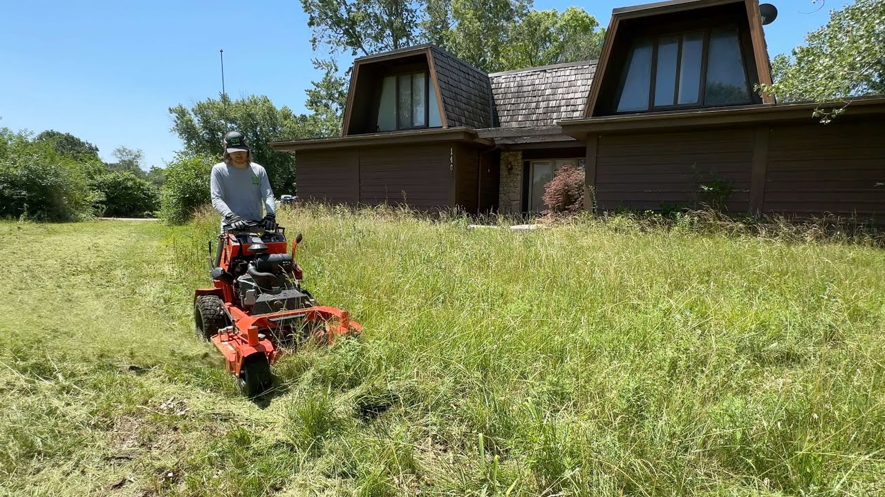 After a year without mowing, the neighbors had no IDEA what to do with this home
