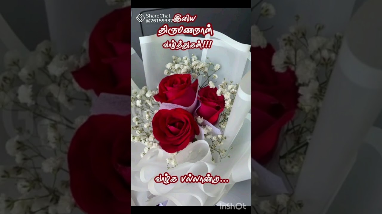 6 March 2026