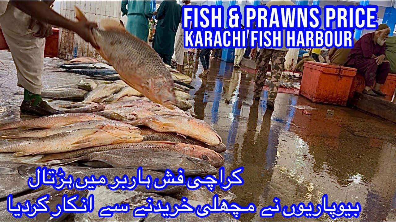 FISH & PRAWNS PRICE UPDATE KARACHI FISH HARBOUR MARKET February 17, 2026