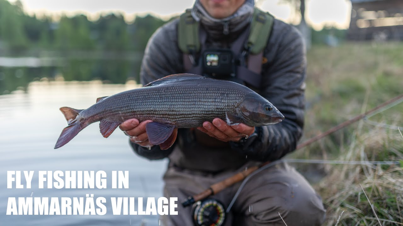 Сухая мушка для ловли крупного хариуса в отеле Fish Your Dream Ammarnäs