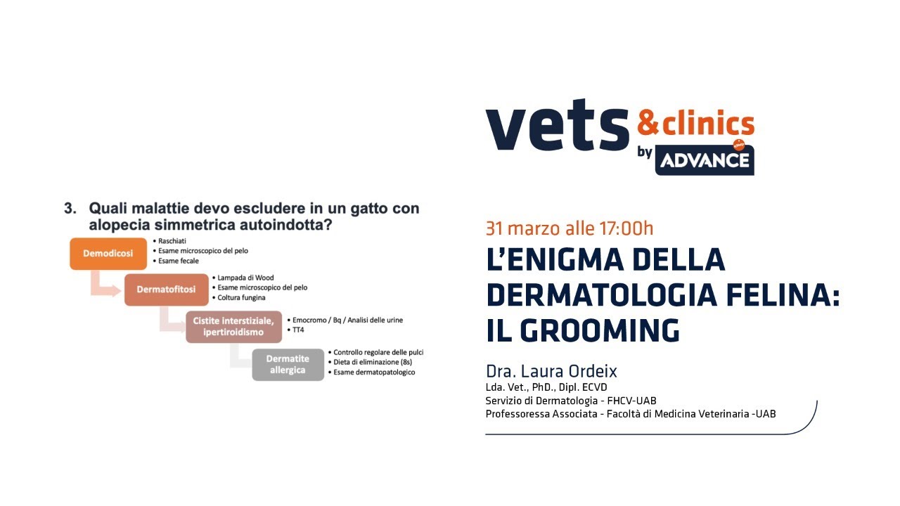 01.IT L’enigma della dermatologia felina: Il grooming. Dott.ssa Laura Ordeix