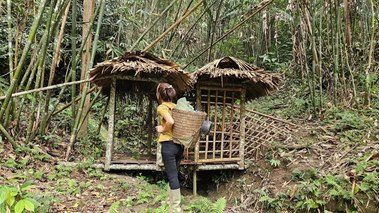 The journey of a single mother renovating an abandoned house in the woods- lý tiểu bình.