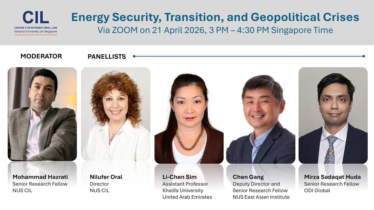 Energy Security, Transition, and Geopolitical Crises