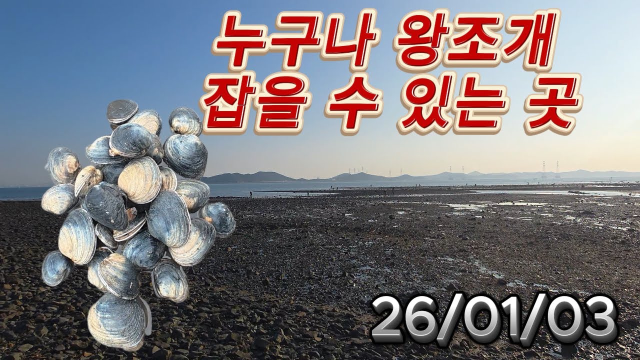 새해 첫 개조개 해루질 다녀왔습니다~~!
