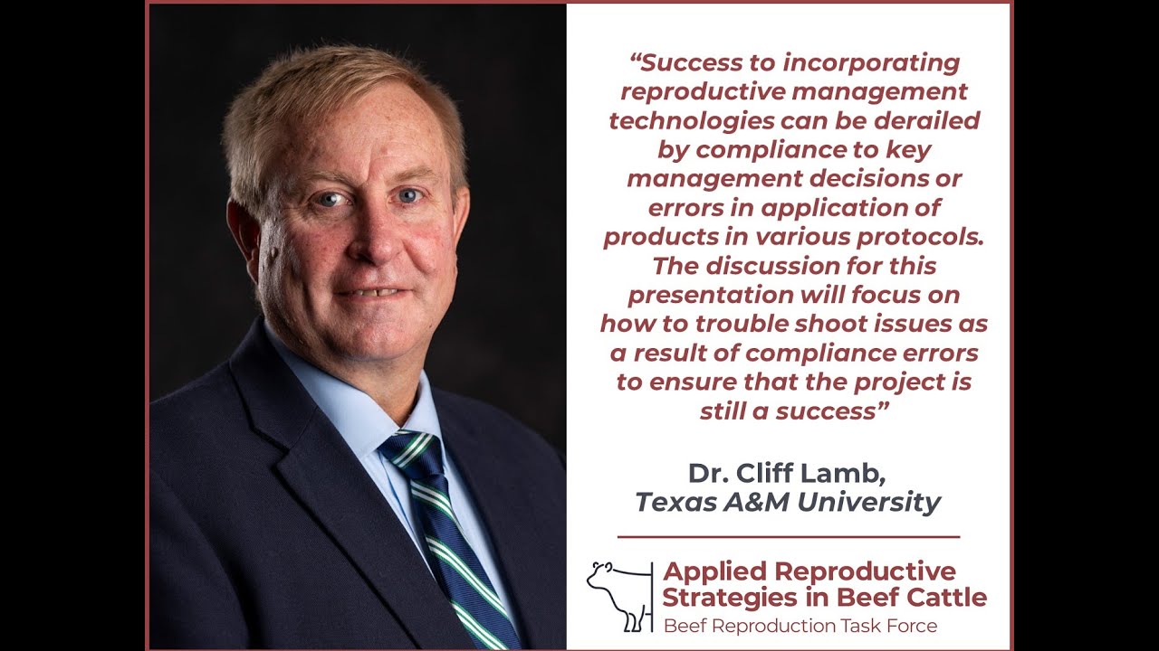 Dr. Cliff Lamb - Overcoming compliance issues to ensure success of a TAI project