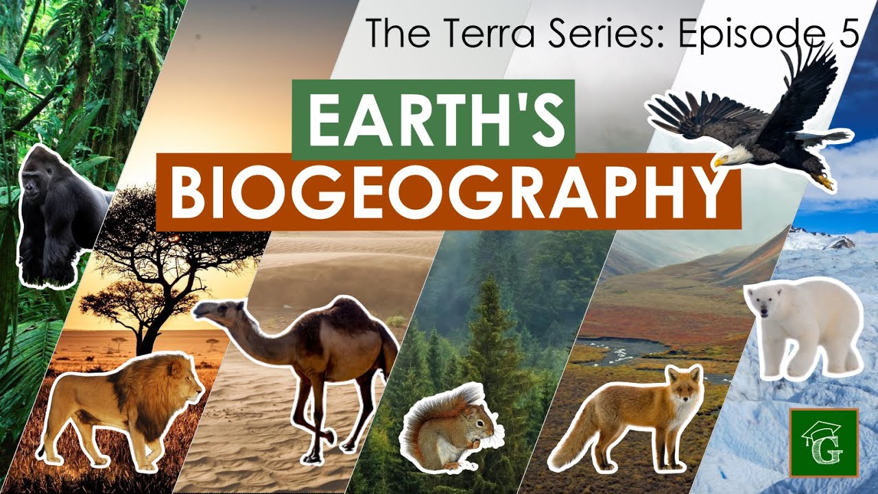Earth's Biogeography - Plants and Animals (MUST-KNOW Basics) 🌳🦁