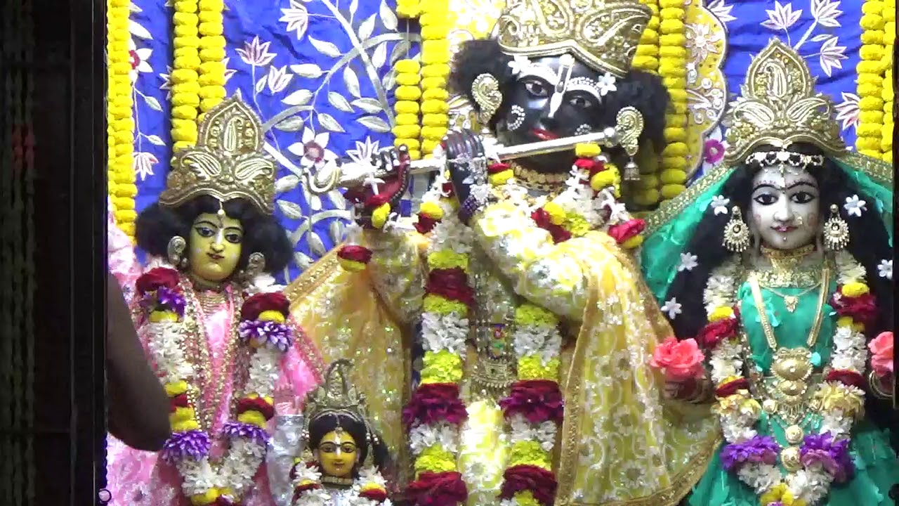 Evening Aarti of Sri Sri Guru Gauranga Gandharvika Giridhari Jew