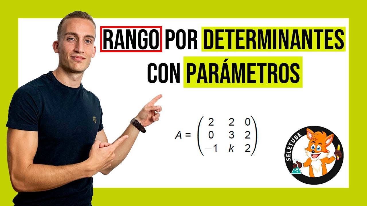 RANGO de una MATRIZ por DETERMINANTES con PARÁMETROS