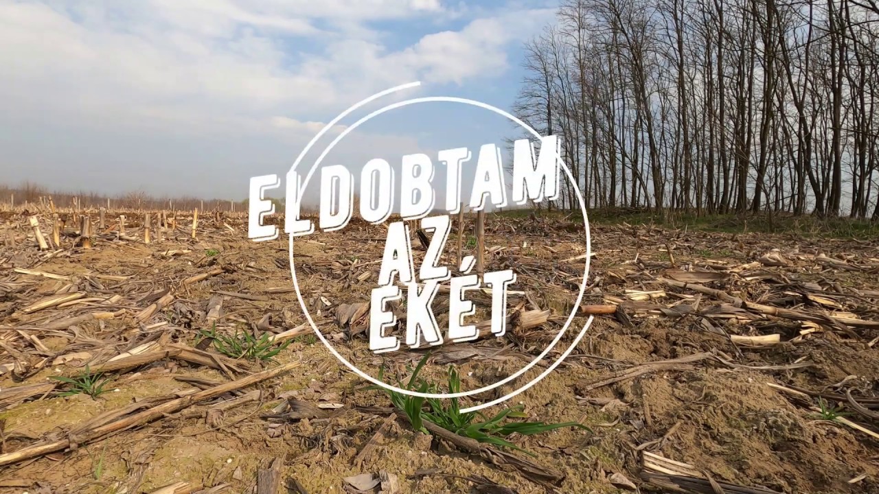Eldobtam az ekét. Teljesen megőrültem, avagy milyen az élet szántás nékül?