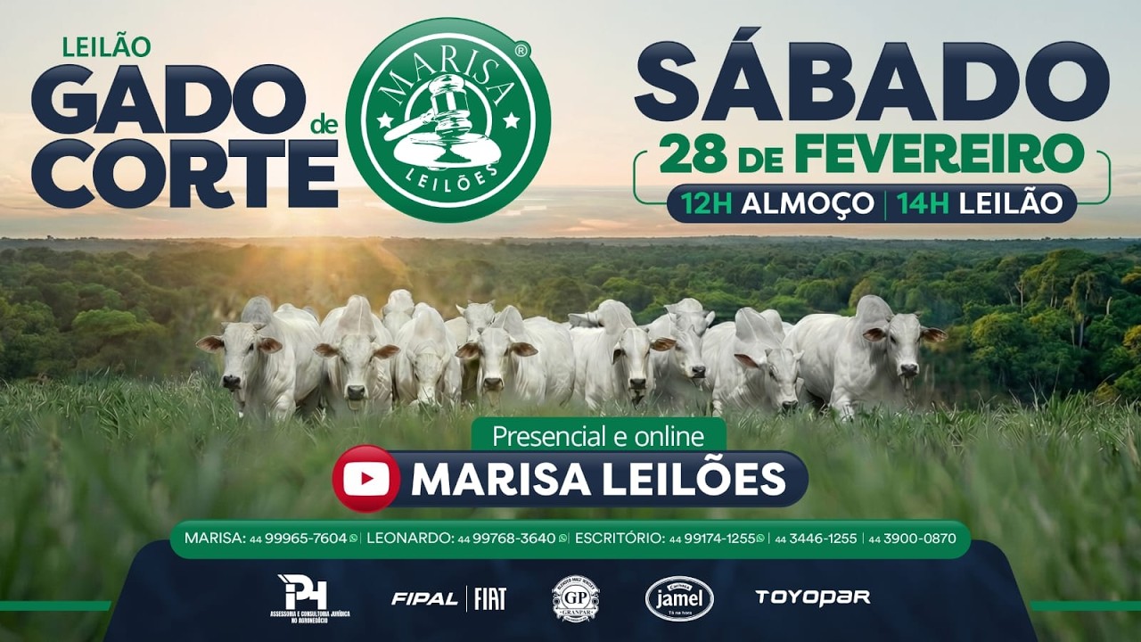 Leilão - Ao Vivo Marisa Leilões - 28 de FEVEREIRO 2026  -  Paranavaí-PR