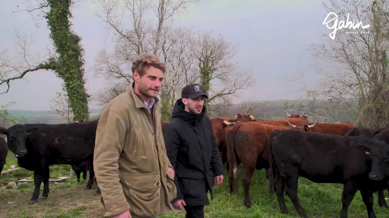 Le boeuf Angus chez Gabin