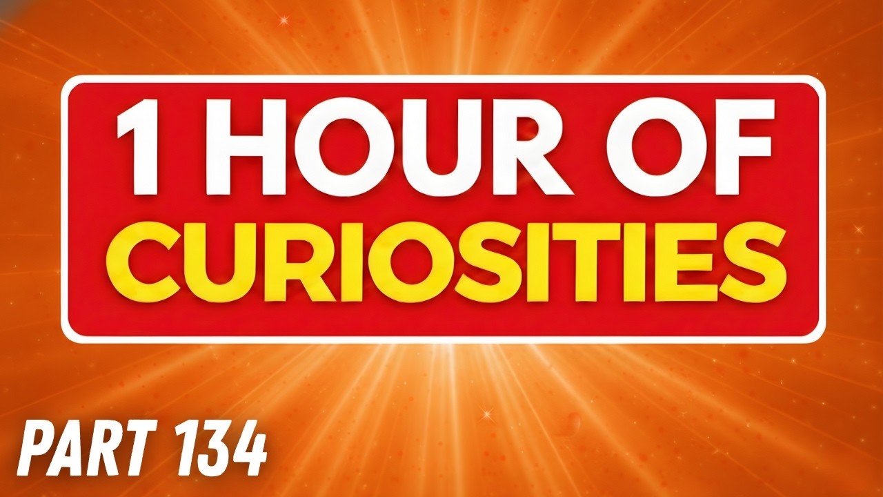 1 HOUR of MANY INTERESTING Random CURIOSITIES About the World🌎