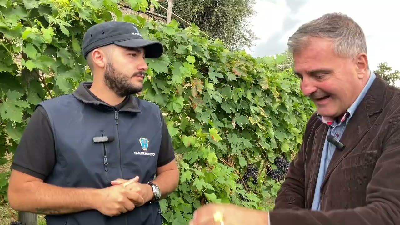 ANDREA RADIC IL MARRONETO