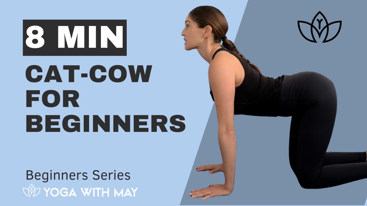 How to do Cat-Cow Yoga Pose - Yoga for Beginners