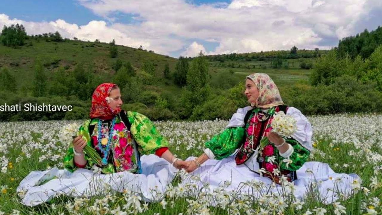 Skutaca e cuces- Shishtavec/Novosej