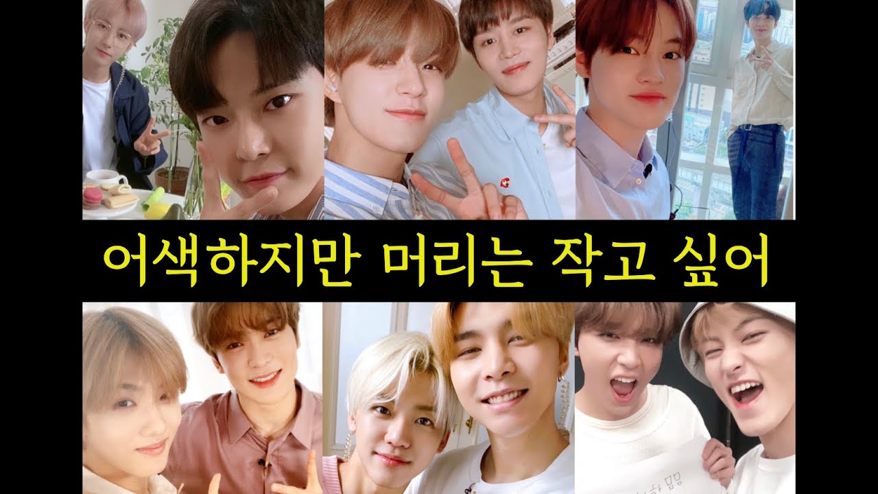 해찬이가 쏘아올린 어사즈 왕머리 셀카대란