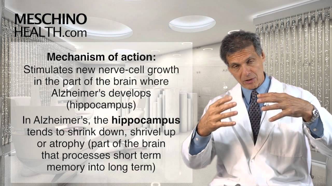 EGCG In Green Tea Linked To Better Memory