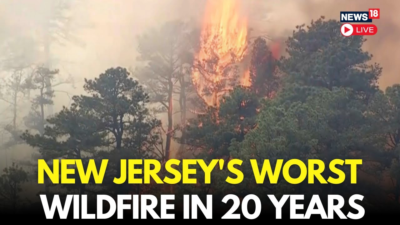 LIVE: New Jersey's Wildfire Worst In Decades, Officials Update On Jones Road Wildfire | N18G