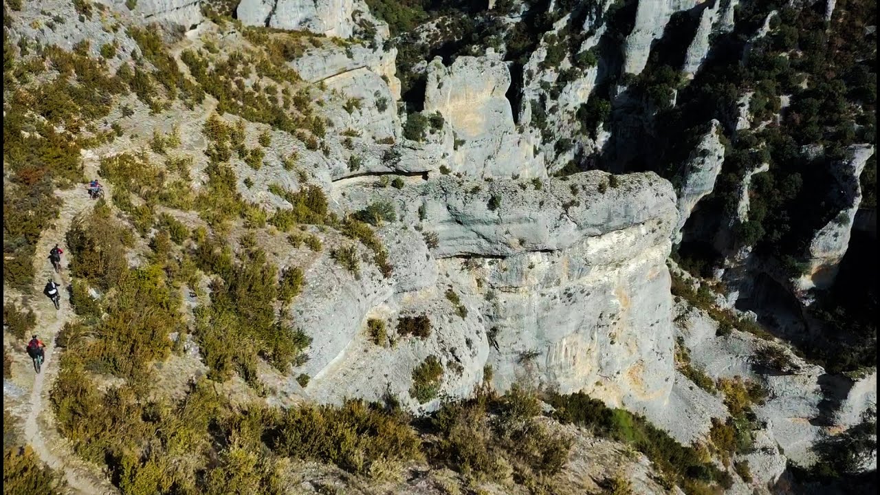 Gran Guara