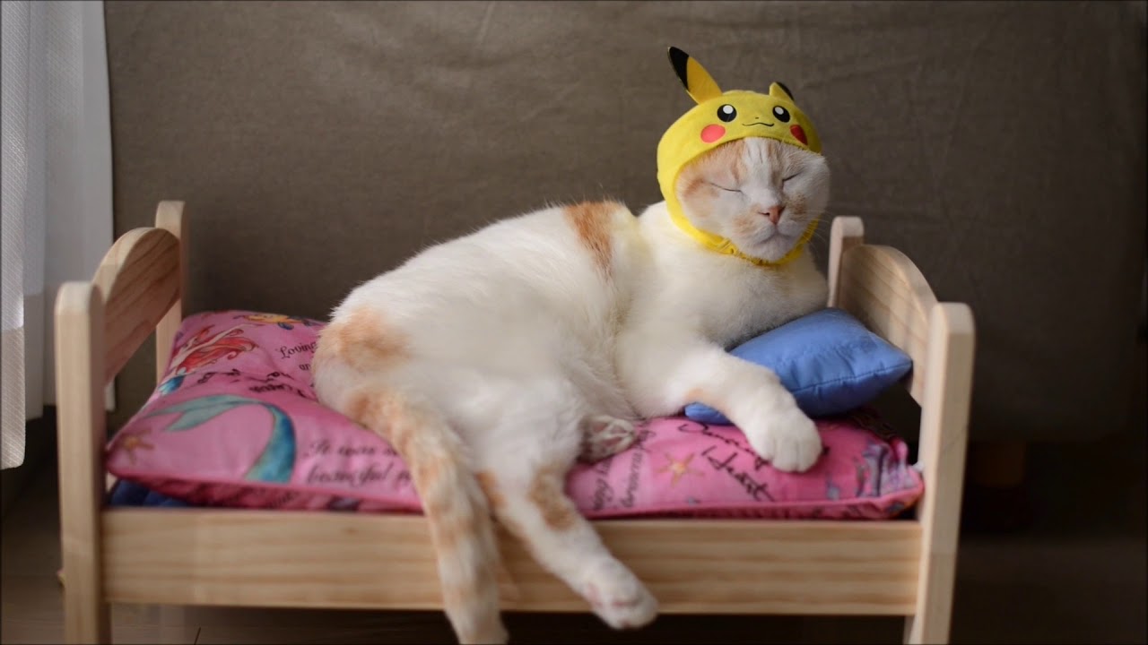 ひさしぶり！