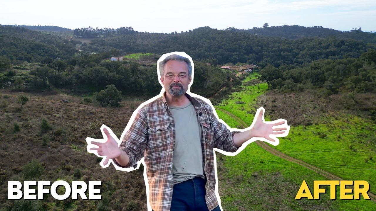 Living Off-Grid for 10 Years: Holistic Grazing in Portugal