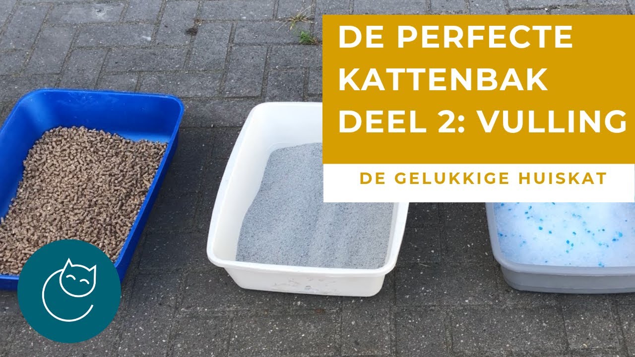 DE PERFECTE KATTENBAK DEEL 2: KATTENGRIT - De gelukkige huiskat - Kattengedrag