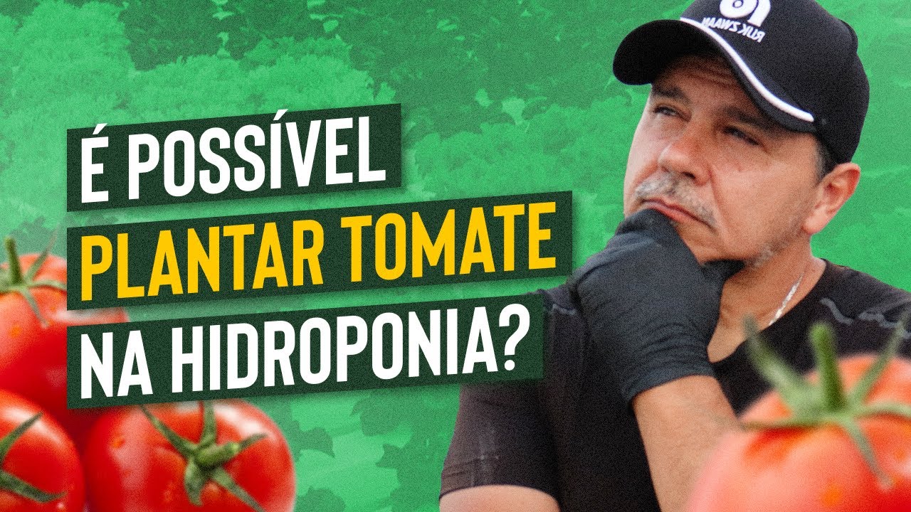 É POSSÍVEL PLANTAR TOMATE NA HIDROPONIA? - Fiz este vídeo para responder!