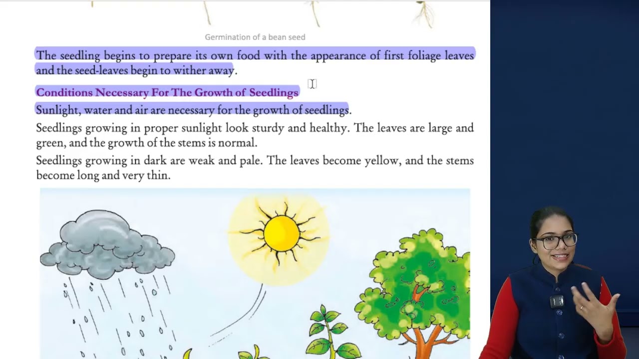 Science 5 ch 1