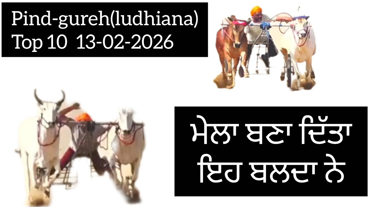 Pind -gureh (ludhiana) ox race #oxracepunjab #shonkpunjabde #longviralvideo 