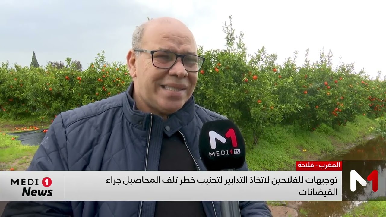 توجيهات للفلاحين لاتخاذ التدابير لتجنيب خطر تلف المحاصيل جراء الفيضانات