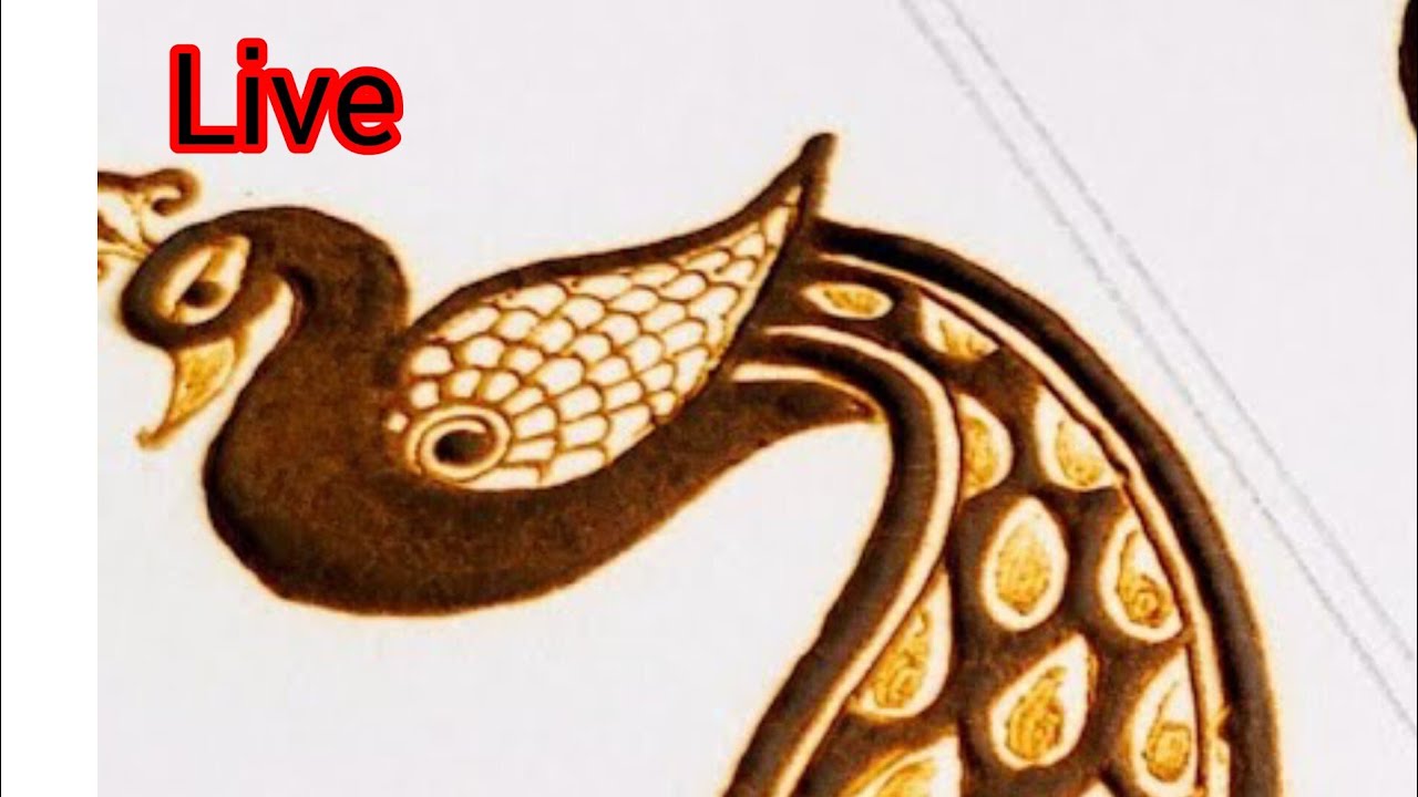 peacock paper practice ✍️ Mehandi design
