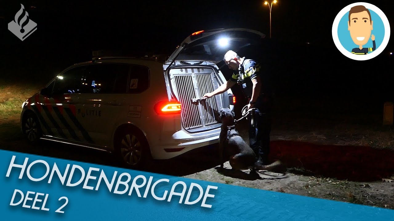 HONDENBRIGADE | SURVEILLANCEHONDEN | POLITIE | DEEL 2