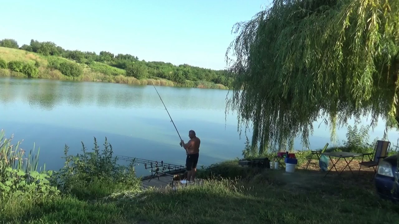 PESCUIT STATIONAR PE BALTA LUPSANU 2 -  11,12. 08. 2021