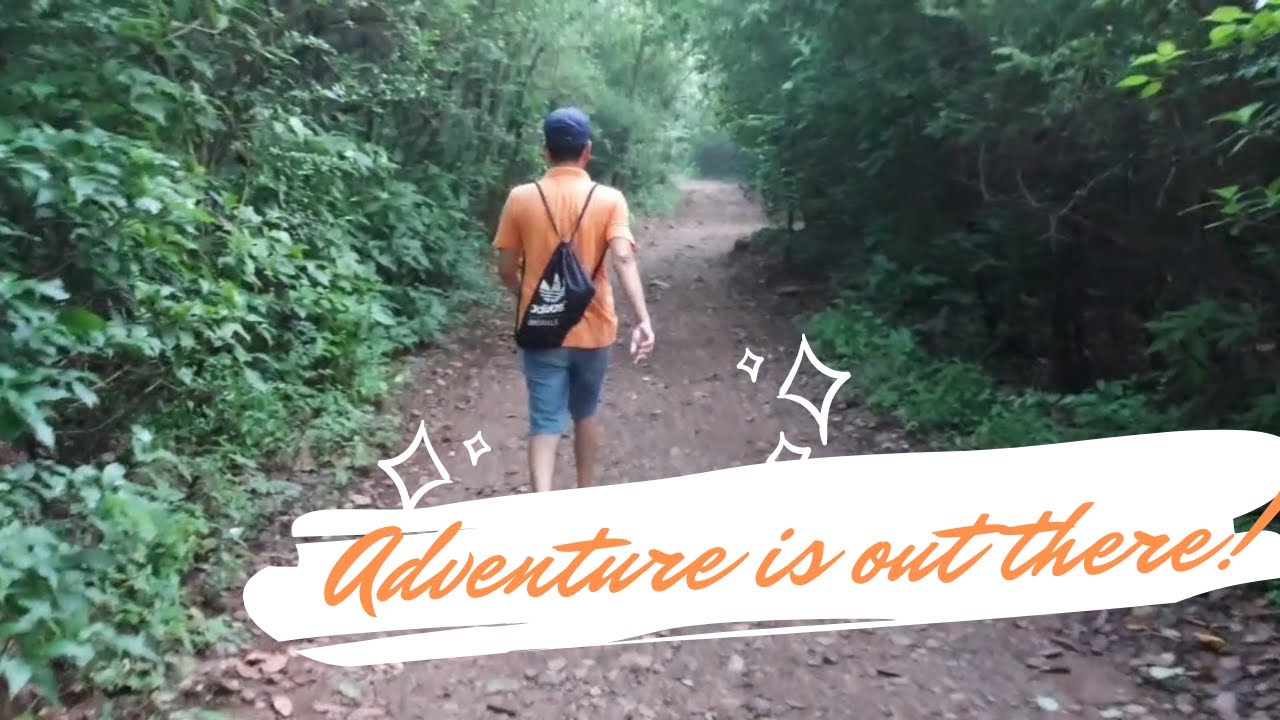 Margala forest hikes